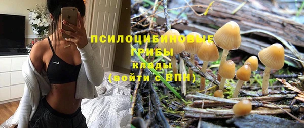 PSILOCYBIN Строитель