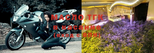 прущие грибы Струнино