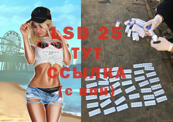 PSILOCYBIN Строитель