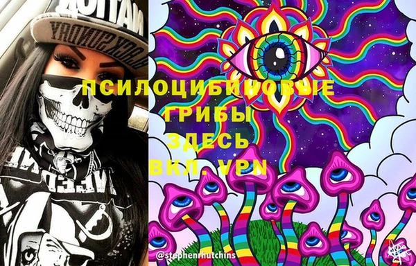 прущие грибы Струнино