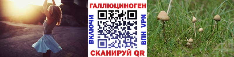 Купить закладки  Динская  Галлюциногенные грибы прущие грибы 